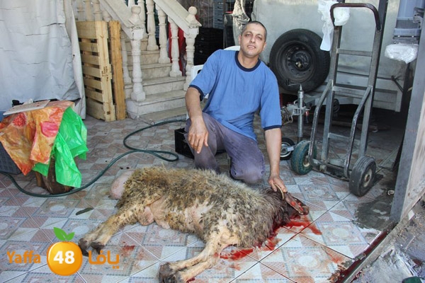 dabe7 ludj31 (35).JPG